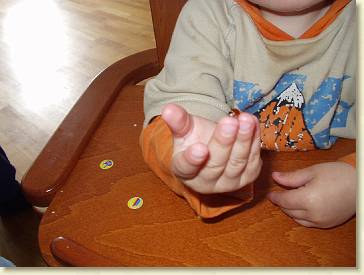 20060416-02 Een lieveheersbeestje